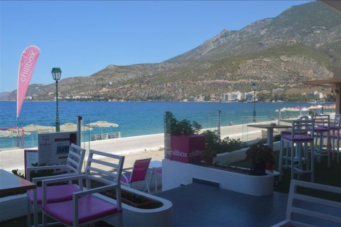 Коммерческая недвижимость 209м² в Лутракион, Греция №59146 4