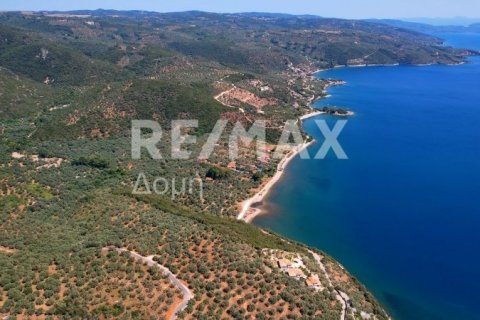 Земельный участок 9613м² в Магнисия, Греция №28023 10