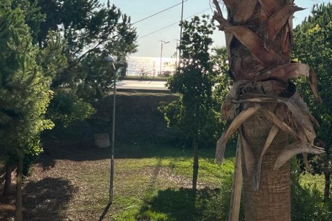 3 bedrooms Apartment in Tri Phuong, Vietnam No. 13128 9