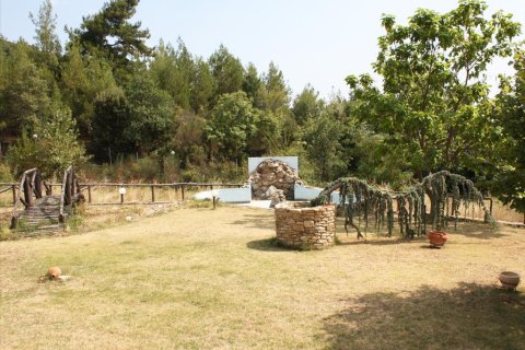 10 habitaciones Villa en Polygyros, Greece No. 60561 28