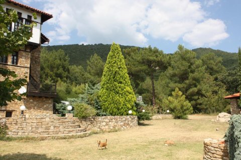 10 habitaciones Villa en Polygyros, Greece No. 60561 2