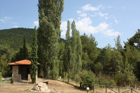 10 habitaciones Villa en Polygyros, Greece No. 60561 5