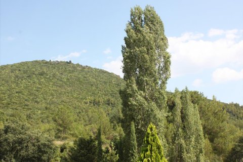 10 habitaciones Villa en Polygyros, Greece No. 60561 27