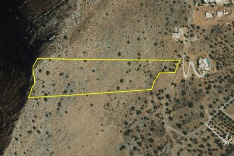 Земельный участок 29981м² в Ласитион, Греция №56153 4