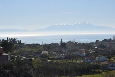 Квартира с 2 спальнями в Халкидики, Греция №56564 13