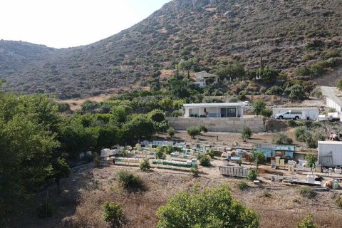 Вилла с 3 спальнями в Финикария, Кипр №80796 5