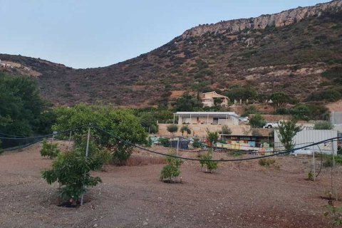 Вилла с 3 спальнями в Финикария, Кипр №80796 4