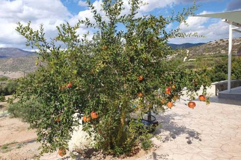 Вилла с 3 спальнями в Финикария, Кипр №80796 13