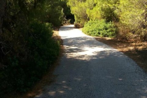 8 dormitorios House en Rafina, Greece No. 124138 3