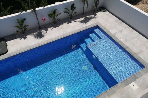 Дом с 4 спальнями в Ларнака, Кипр №75974 17