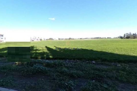 Commercial property in Meneou, Cyprus No. 35565 5