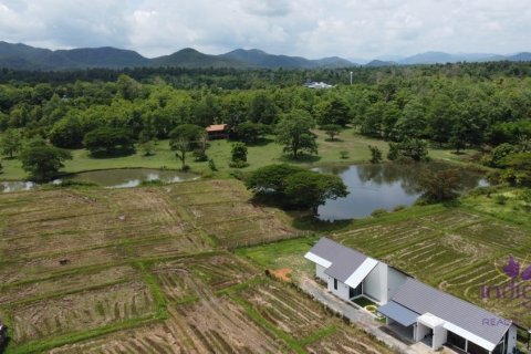 Land in Chiang Mai, Thailand No. 97801 2