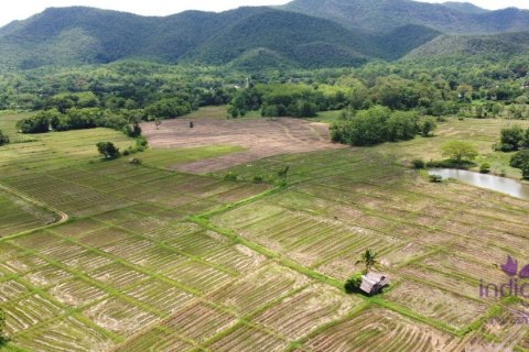 Land in Chiang Mai, Thailand No. 97801 7