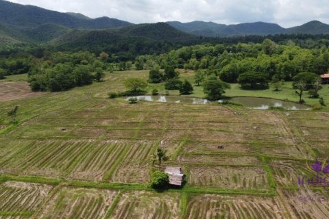 Land in Chiang Mai, Thailand No. 97801 3