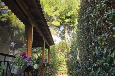 2 bedrooms House in Nea Makri, Greece No. 108426 19