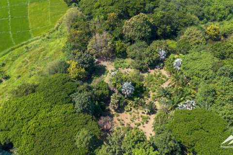 Земельный участок в Чиангмай, Таиланд №98060 3