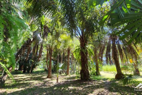 Земельный участок в Чиангмай, Таиланд №98060 17