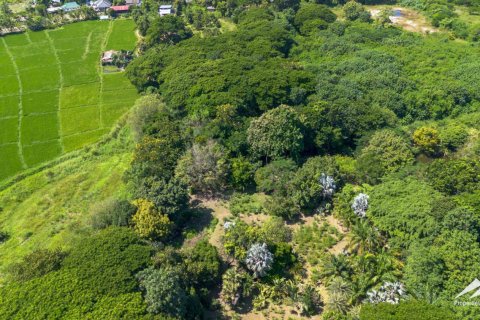 Земельный участок в Чиангмай, Таиланд №98060 18