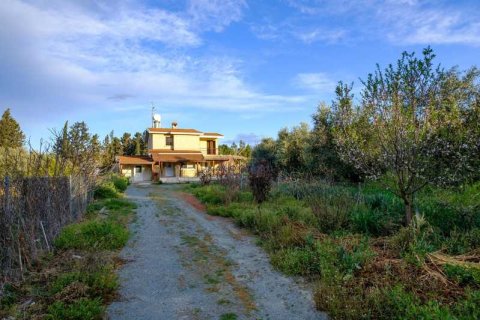 Дом с 3 спальнями в Пирга, Кипр №78354 4