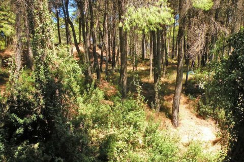 3 bedrooms House in Acharnes, Greece No. 60061 6