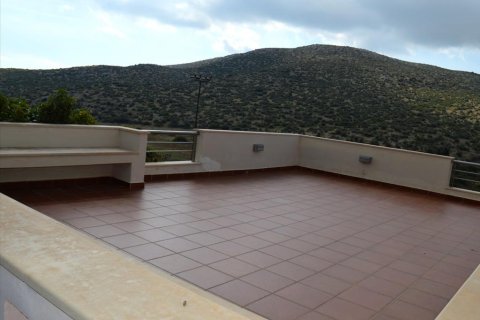 5 chambres House à Legrena, Greece No. 59375 3