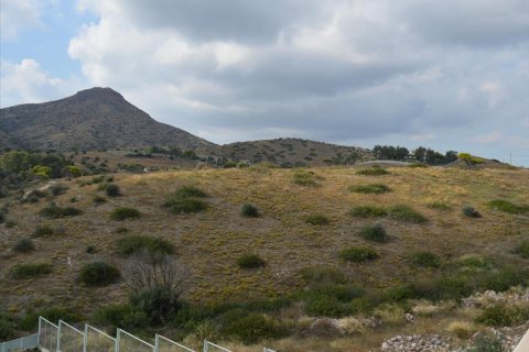 5 chambres House à Legrena, Greece No. 59375 13