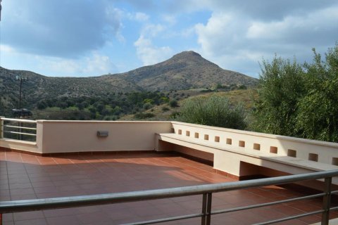 5 chambres House à Legrena, Greece No. 59375 11