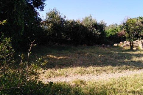 725m² Land en Platanias, Greece No. 109558 4