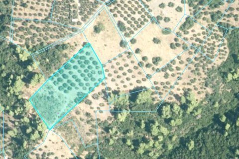 4903m² Land in Chalkidiki, Greece No. 108522 1