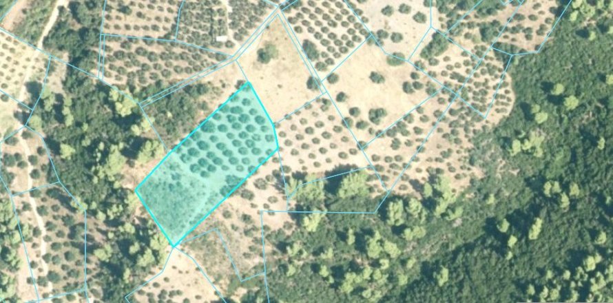 4903m² Land in Chalkidiki, Greece No. 108522