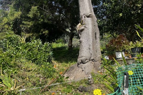 Дом в Закинтос, Греция №83415 5