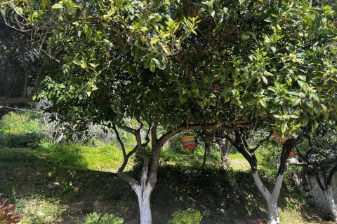 Дом в Закинтос, Греция №83415 10