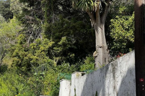 Дом в Закинтос, Греция №83415 11