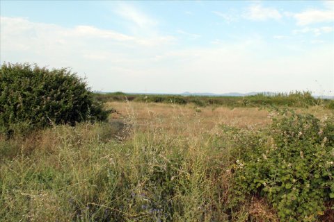 10550m² Land in Chalkidiki, Greece No. 60275 3