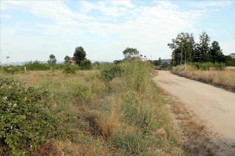 10550m² Land in Chalkidiki, Greece No. 60275 4
