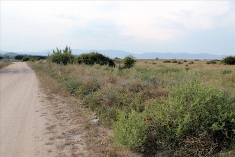 10550m² Land in Chalkidiki, Greece No. 60275 1