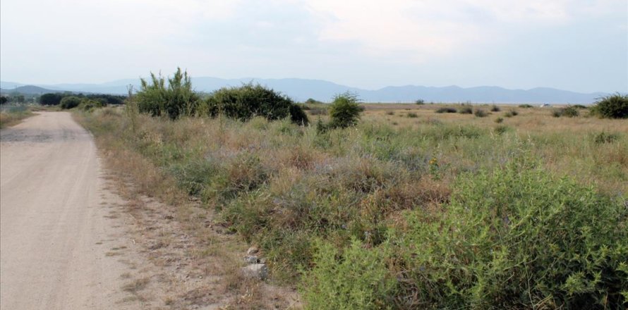10550m² Land in Chalkidiki, Greece No. 60275