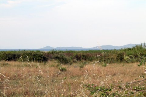 10550m² Land in Chalkidiki, Greece No. 60275 5