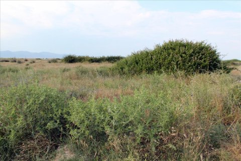 10550m² Land in Chalkidiki, Greece No. 60275 2