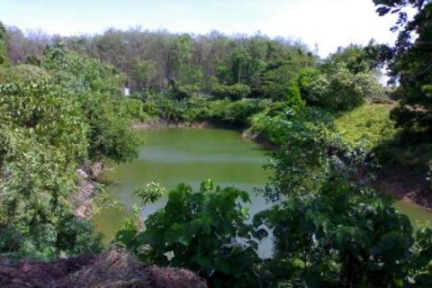 14400m² Land in Phuket, Thailand No. 95643 1