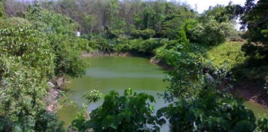 14400m² Land on the Phuket, Thailand No. 95643