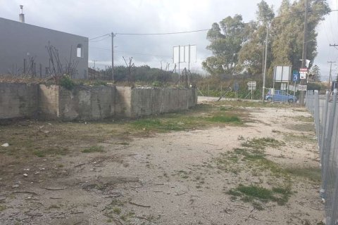 Land in Zakynthos, Greece No. 24597 5