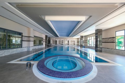 2 bedrooms Apartment in Chau Lang, Vietnam No. 10922 11