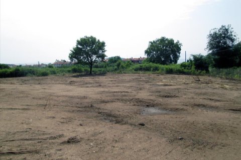 4100m² Land in Kavala, Greece No. 60226 6