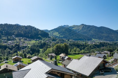 5 bedrooms House in Montriond, France No. 100207 5