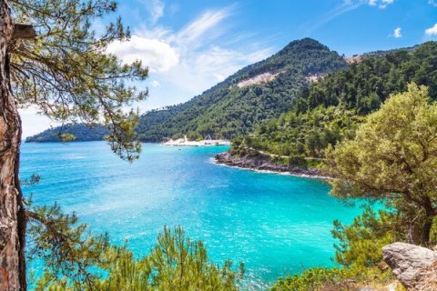 50 rooms Hotel in Thasos, Greece No. 108617