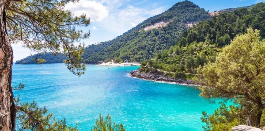 50 rooms Hotel in Thasos, Greece No. 108617