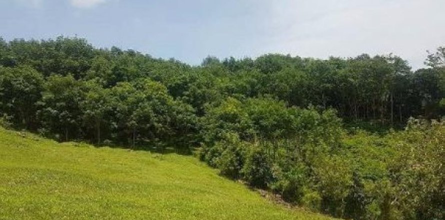 4800m² Land à Ko Lanta Yai, Thailand No. 96525