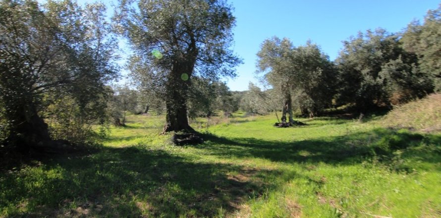 44000m² Land in Corfu, Greece No. 58877