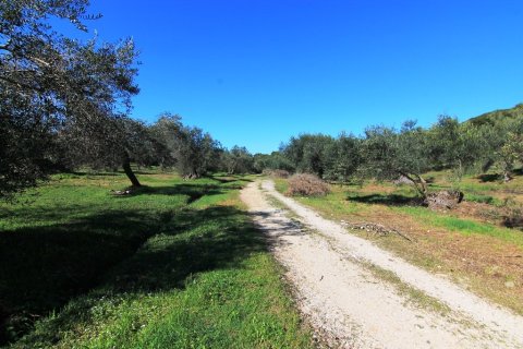 44000m² Land in Corfu, Greece No. 58877 10